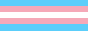 Transgender flag